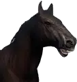 Black Horse
