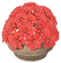 Set of Vendhyan Flower Bowls