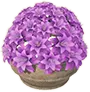 Vendhyan Market Flower Basket