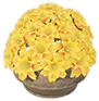 Vendhyan Market Flower Basket