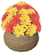 Vendhyan Market Flower Basket