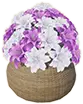 Vendhyan Market Flower Basket