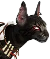 Freibeuter-Katze