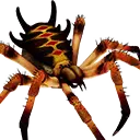 Arachnidengefährte
