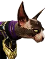 Katze des Schlangenkultisten