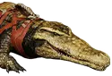 Barachankrokodil