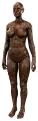 Armor Display