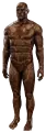 Armor Display