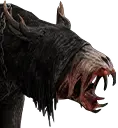Deformierter Bär