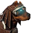 Elite-Wachhund