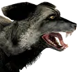 Graufuchs