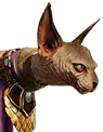 Schlangenmagi-Katze