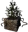 Appezzamento ornamentale (loto grigio)