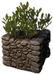Appezzamento ornamentale (cespuglio del deserto)