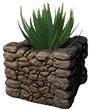 Appezzamento ornamentale (aloe)