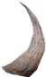 号角