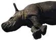Rhinoceros Carcass