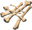 Knochen