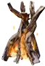 Fuego de leña