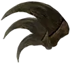 爪