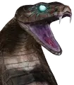Cobra enorme