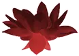 Flor de loto carmesí