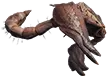 Carcassa di scorpione