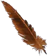Devolved Harpy Feather