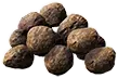 Esterco