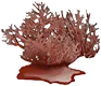 Ficobilina laranja