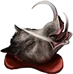 野猪头