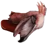 鹭头