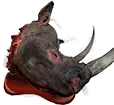 灰犀牛头
