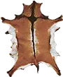 兽皮