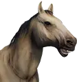 Cavalo