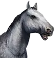 Cavalo