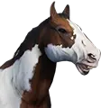Cavalo