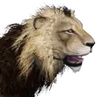 Leão