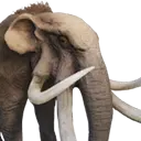 Elefante antediluviano