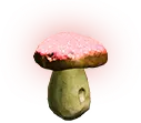 Czerwony świecący grzyb