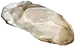 Carne de ostras
