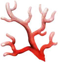 Esqueje de alga naranja