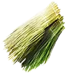 Fibra vegetal
