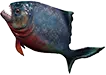 Peixe insosso