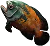Peixe saboroso