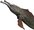 Peixe exótico