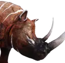 Wildes graues Nashorn