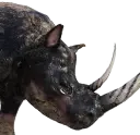 Blutrünstiges graues Nashorn