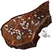 Carne seca saborosa