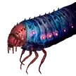 Shaggai-Larve